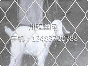 養(yǎng)殖護(hù)欄網(wǎng)